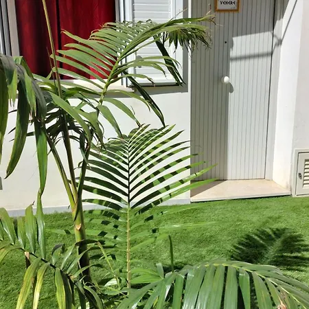 Golden House Maison d'hôtes